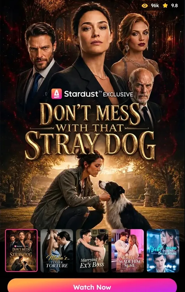 Portrait Stardust TV web landing page for “Don’t Mess with That Stray Dog,” showing the series poster, view count and rating, a row of other drama thumbnails, and a prominent Watch Now button.